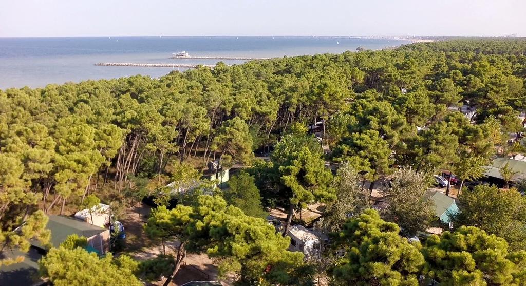 Romea Family Campsite *